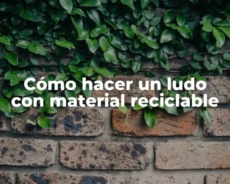Cómo hacer un ludo con material reciclable