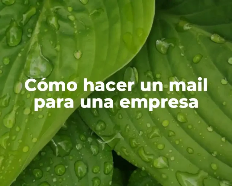 Cómo hacer un mail para una empresa