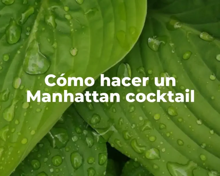 Cómo hacer un Manhattan cocktail