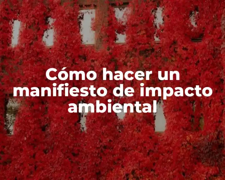 Cómo hacer un manifiesto de impacto ambiental