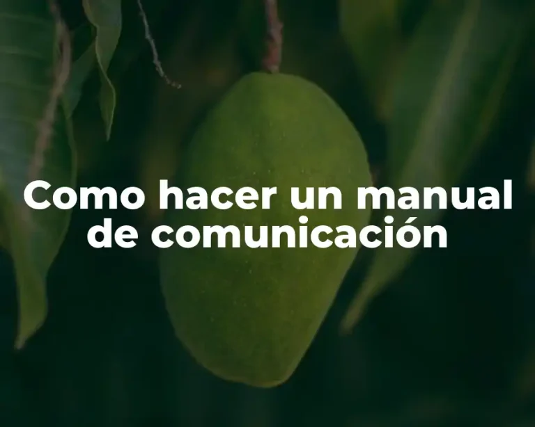 Como hacer un manual de comunicación