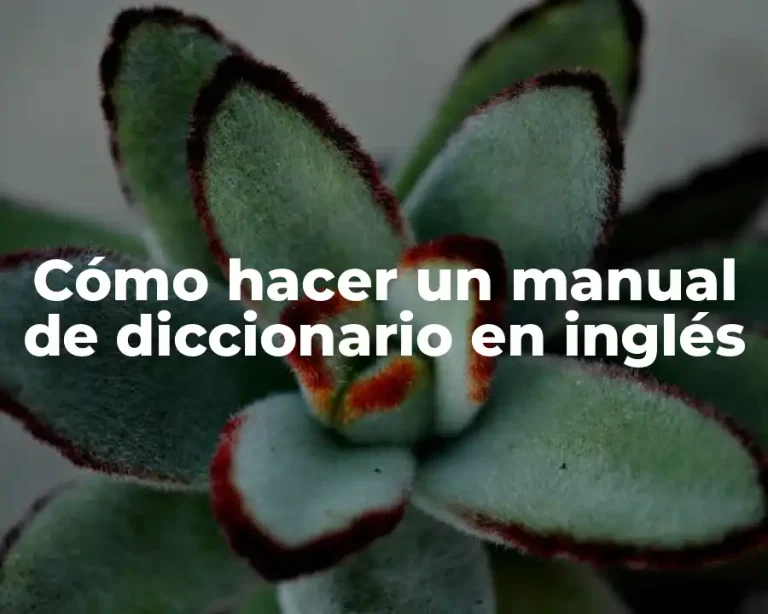 Cómo hacer un manual de diccionario en inglés