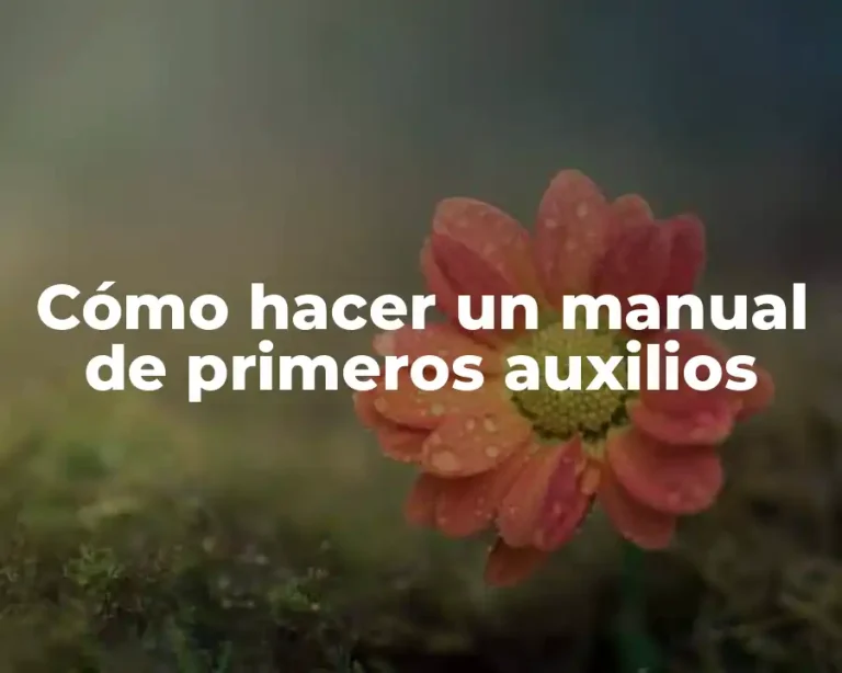 Cómo hacer un manual de primeros auxilios
