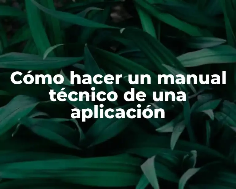 Cómo hacer un manual técnico de una aplicación