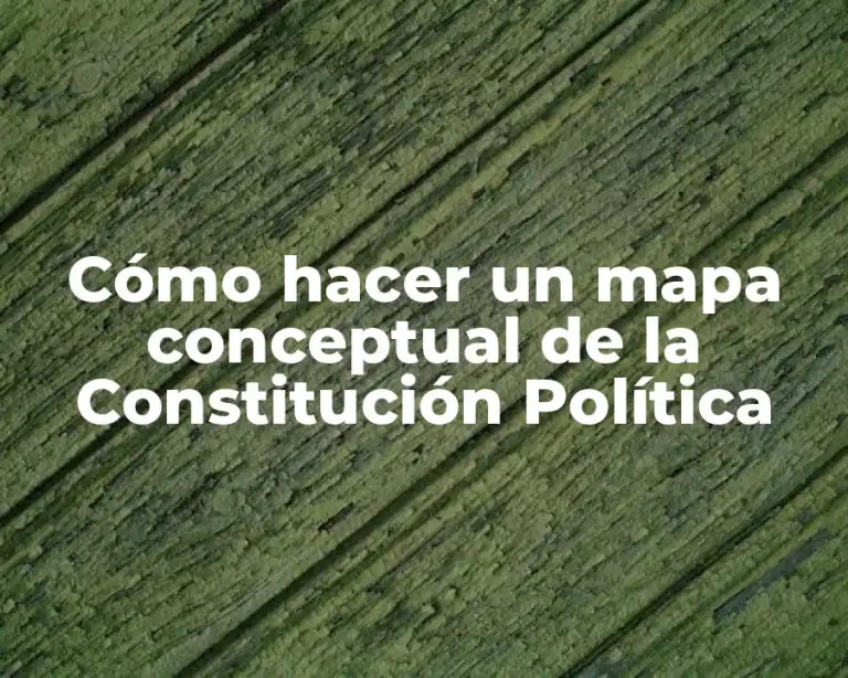 Cómo hacer un mapa conceptual de la Constitución Política