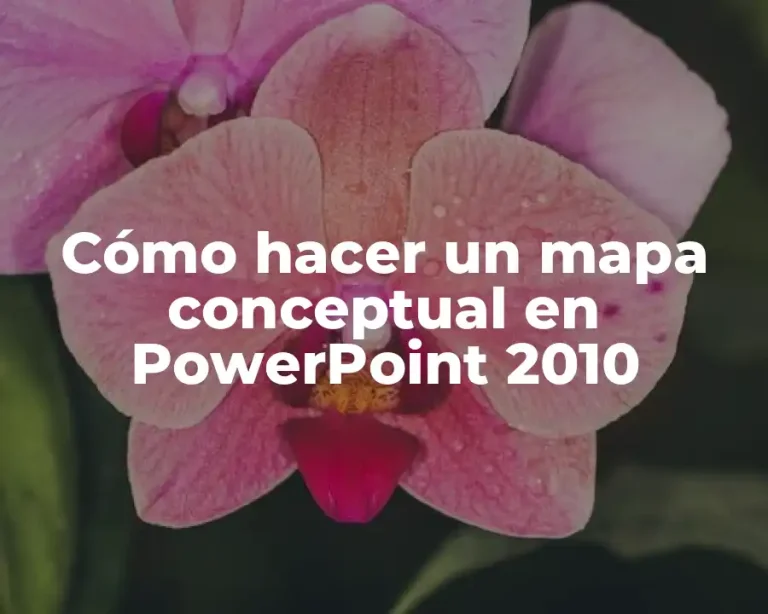 Cómo hacer un mapa conceptual en PowerPoint 2010