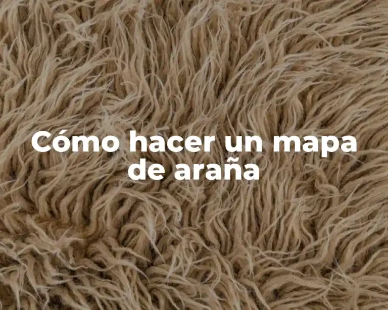 Cómo hacer un mapa de araña