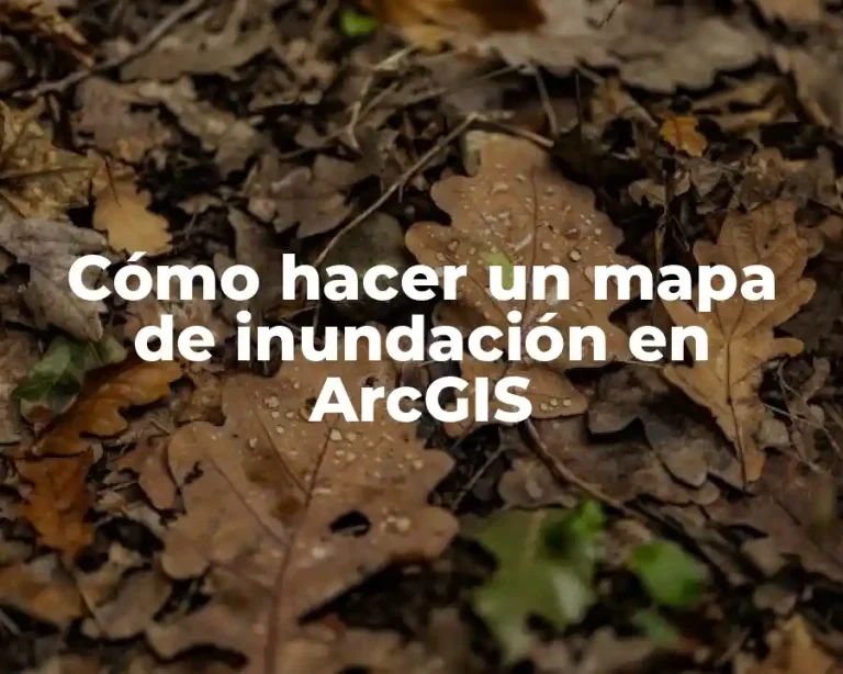 Cómo hacer un mapa de inundación en ArcGIS