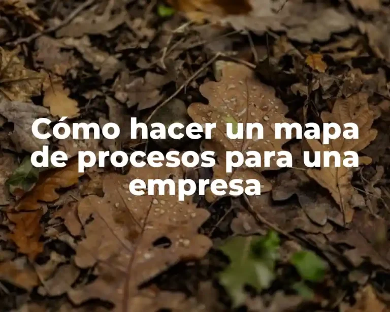 Cómo hacer un mapa de procesos para una empresa