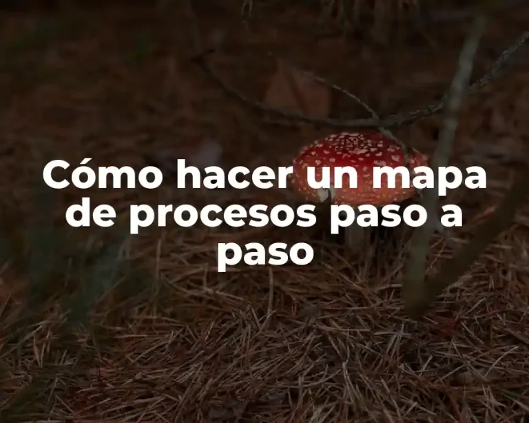Cómo hacer un mapa de procesos paso a paso