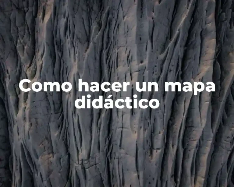 Como hacer un mapa didáctico