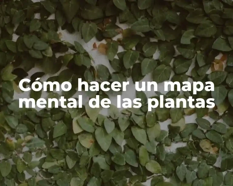 Cómo hacer un mapa mental de las plantas