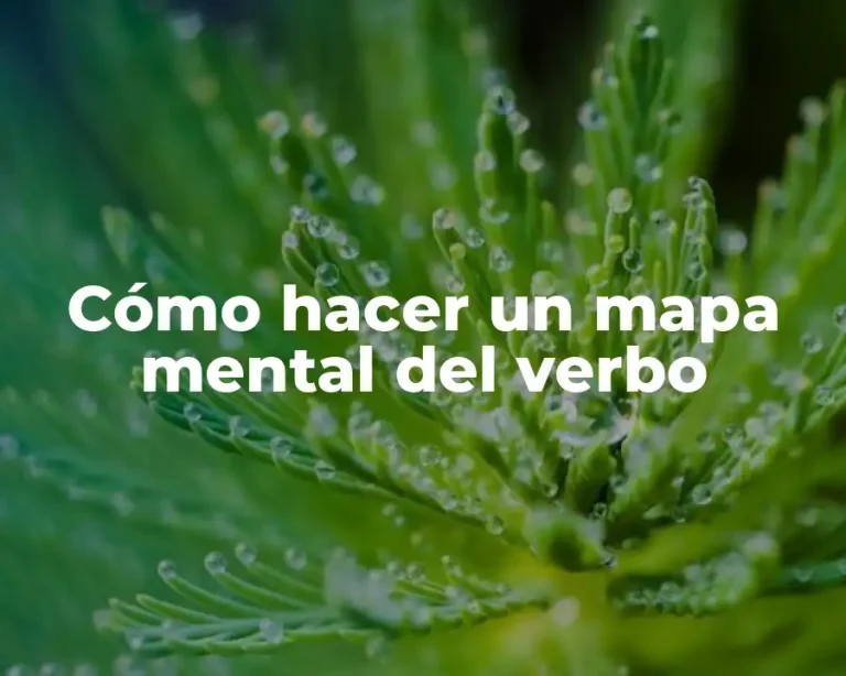 Cómo hacer un mapa mental del verbo
