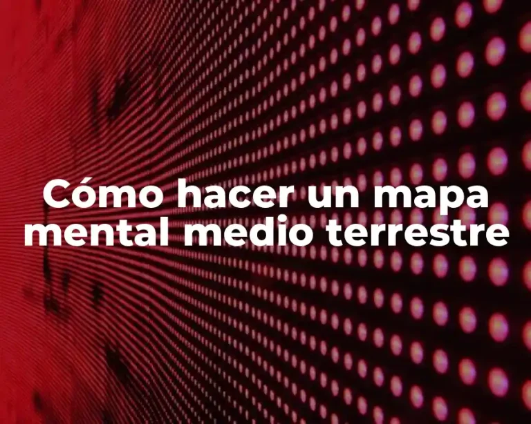 Cómo hacer un mapa mental medio terrestre