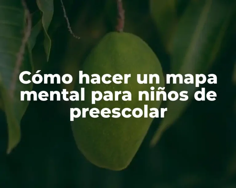 Cómo hacer un mapa mental para niños de preescolar