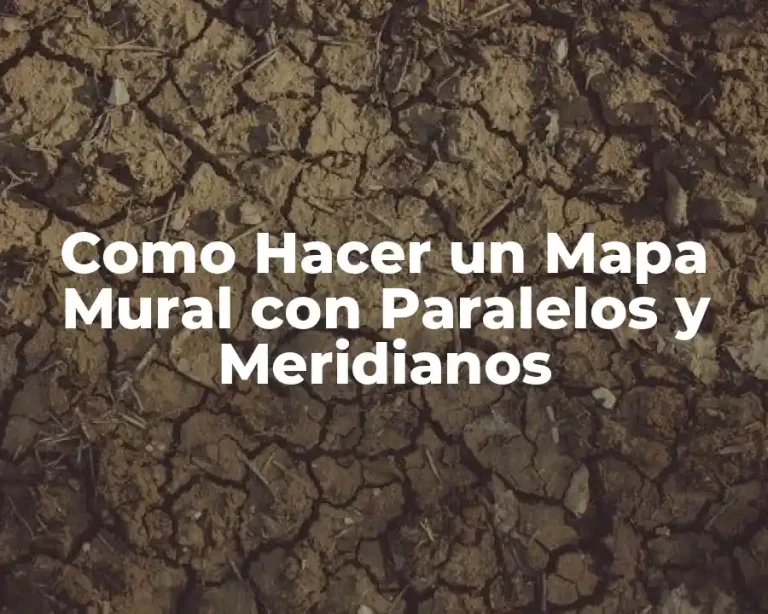 Como Hacer un Mapa Mural con Paralelos y Meridianos