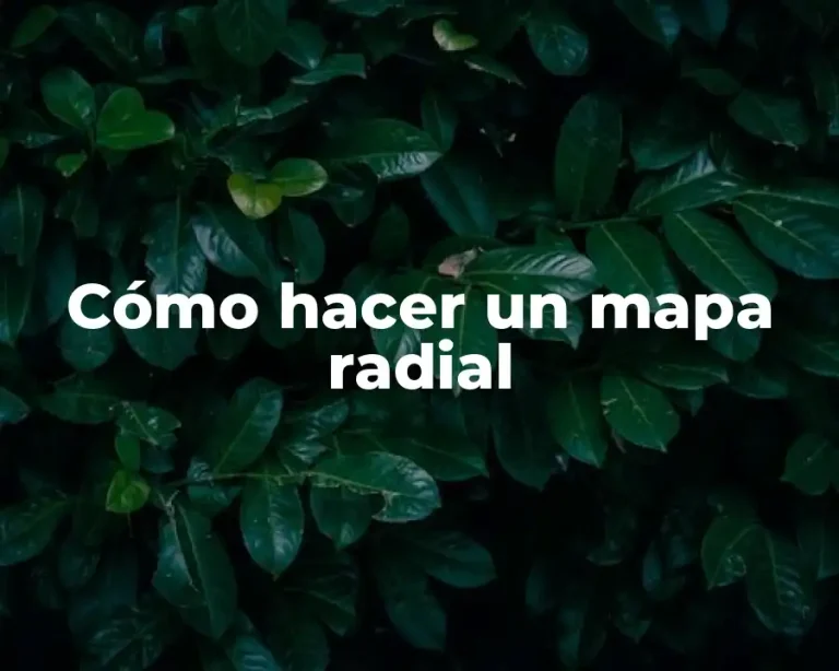 Cómo hacer un mapa radial