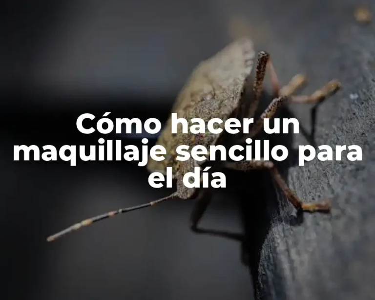 Cómo hacer un maquillaje sencillo para el día