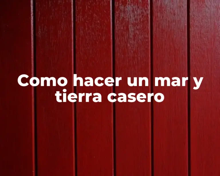Como hacer un mar y tierra casero