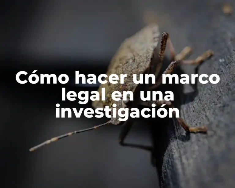 Cómo hacer un marco legal en una investigación