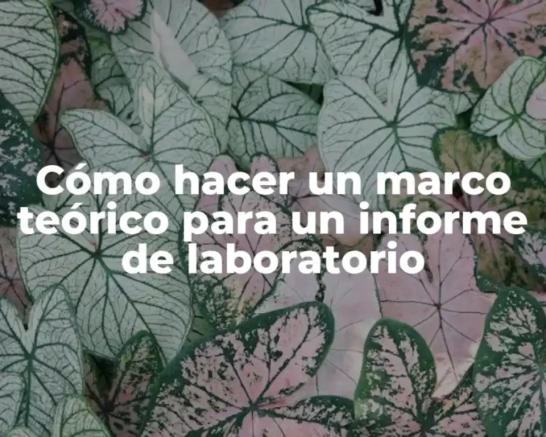 Cómo hacer un marco teórico para un informe de laboratorio