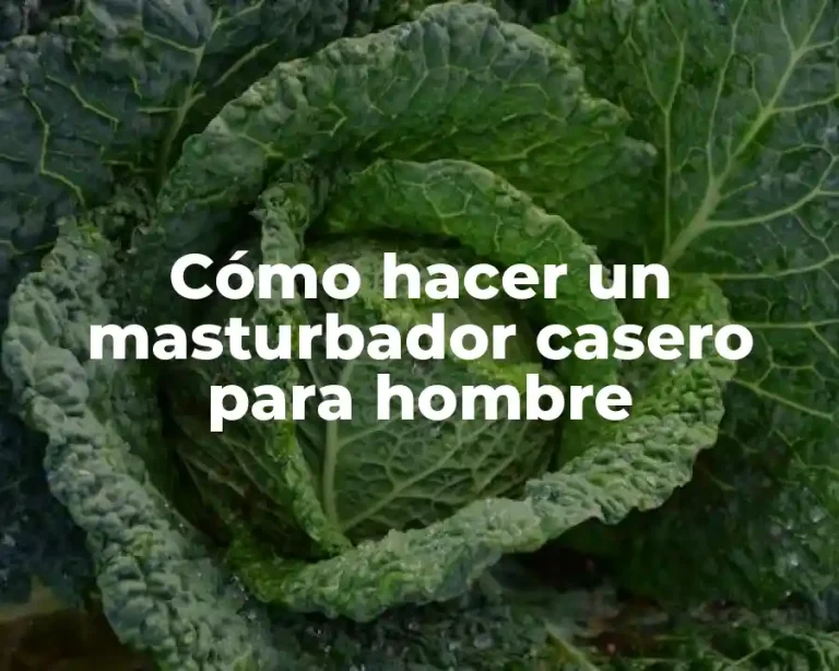 Cómo hacer un masturbador casero para hombre