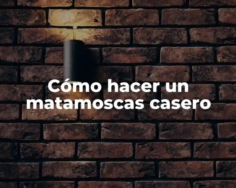 Cómo hacer un matamoscas casero