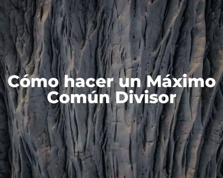 Cómo hacer un Máximo Común Divisor