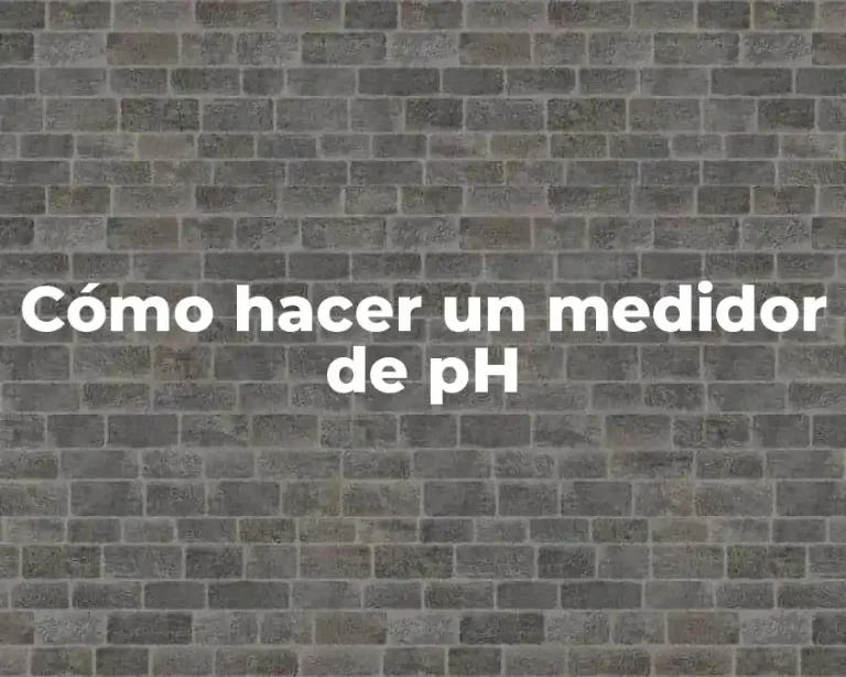 Cómo hacer un medidor de pH