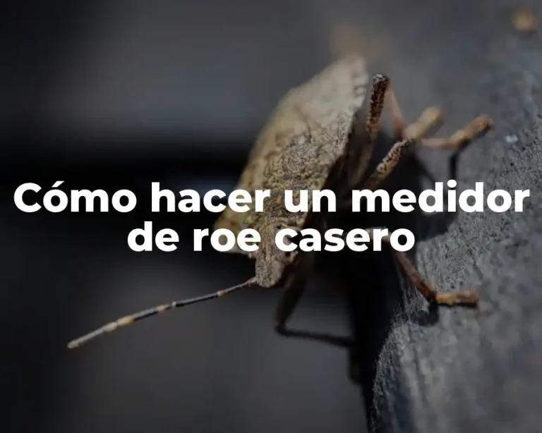 Cómo hacer un medidor de roe casero