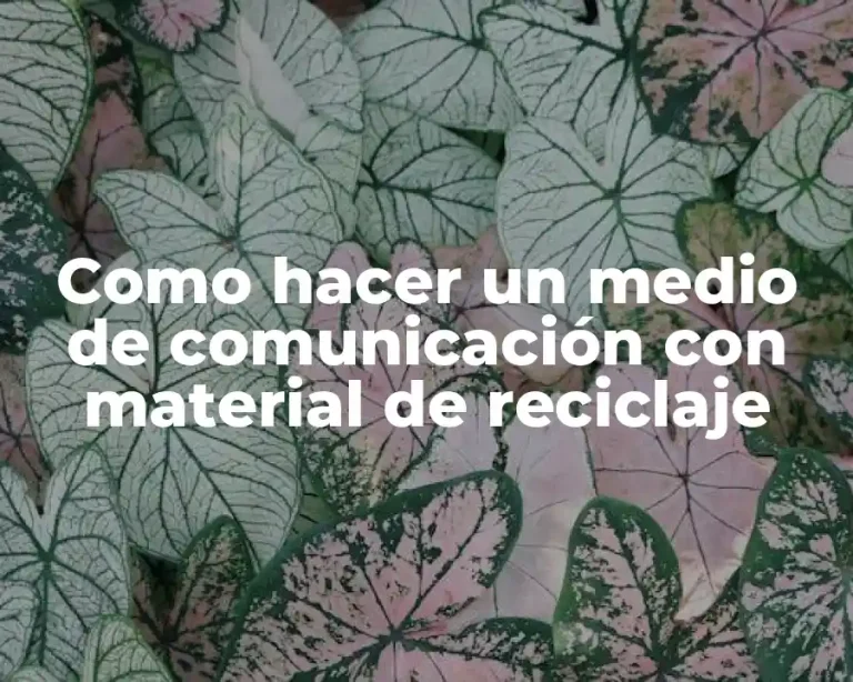 Como hacer un medio de comunicación con material de reciclaje