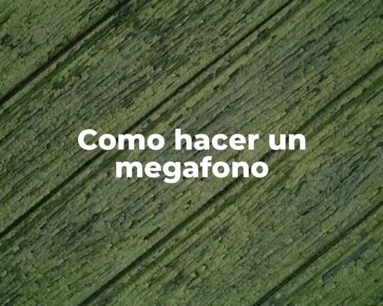 Como hacer un megafono