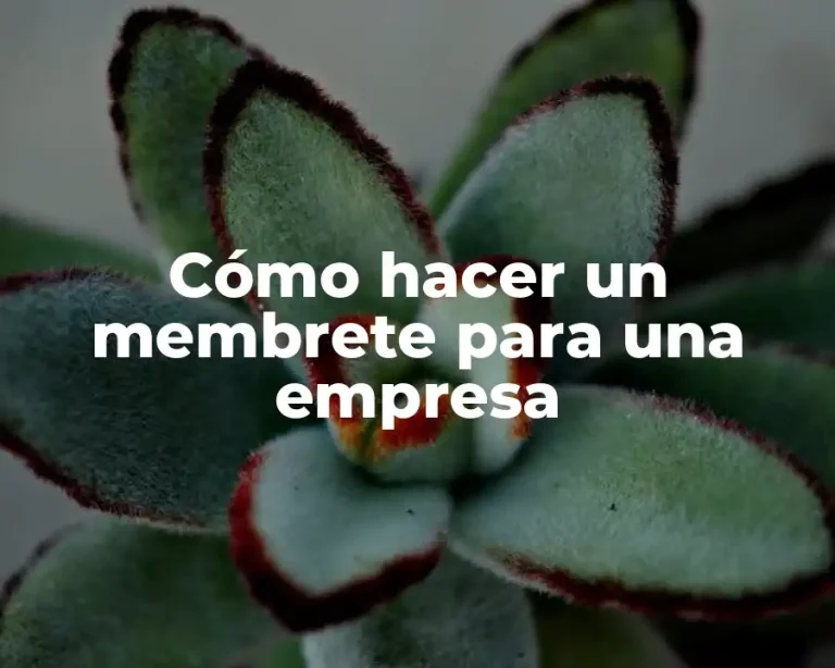 Cómo hacer un membrete para una empresa