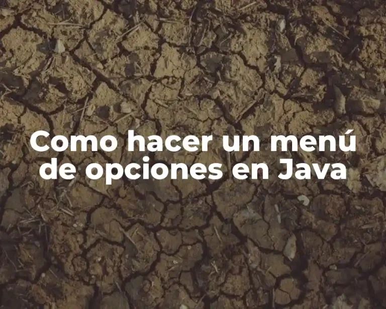 Como hacer un menú de opciones en Java
