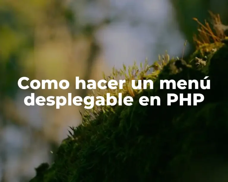 Como hacer un menú desplegable en PHP