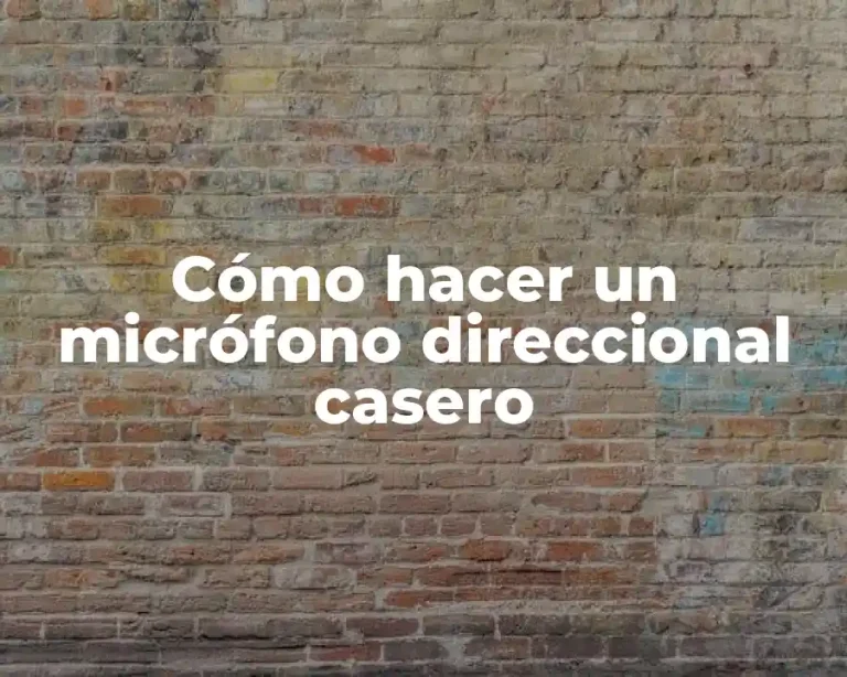 Cómo hacer un micrófono direccional casero