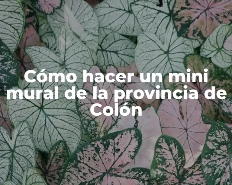 Cómo hacer un mini mural de la provincia de Colón