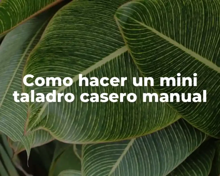 Como hacer un mini taladro casero manual