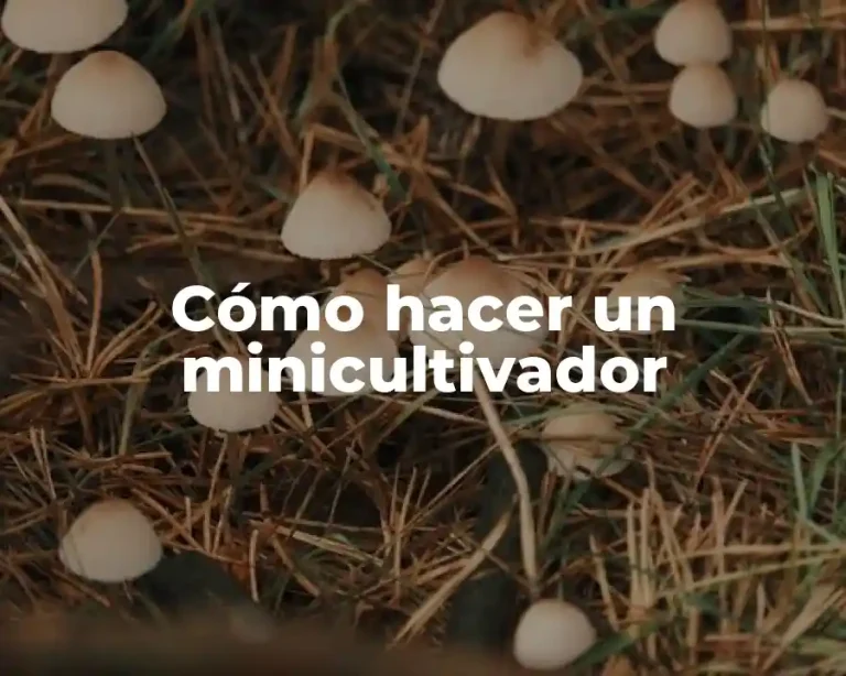 Cómo hacer un minicultivador