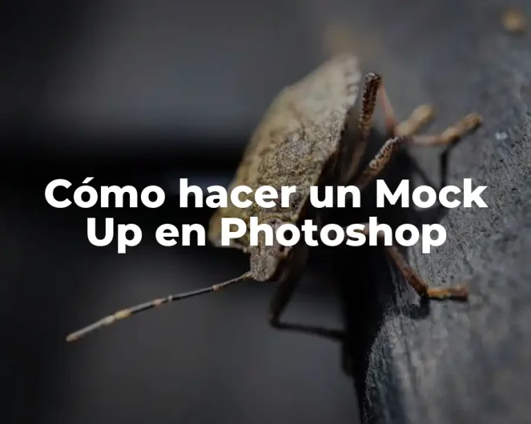 Cómo hacer un Mock Up en Photoshop