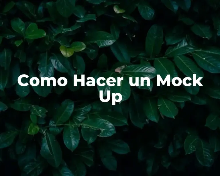Como Hacer un Mock Up