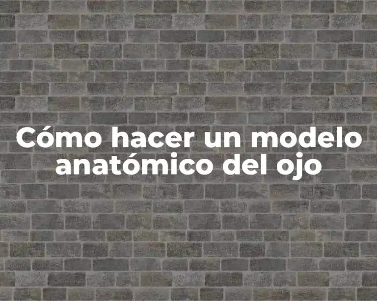 Cómo hacer un modelo anatómico del ojo