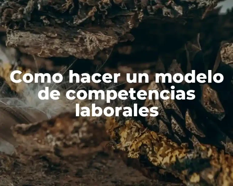 Como hacer un modelo de competencias laborales