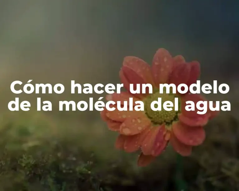 Cómo hacer un modelo de la molécula del agua