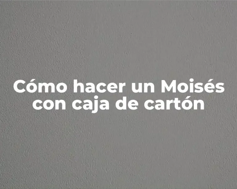 Cómo hacer un Moisés con caja de cartón