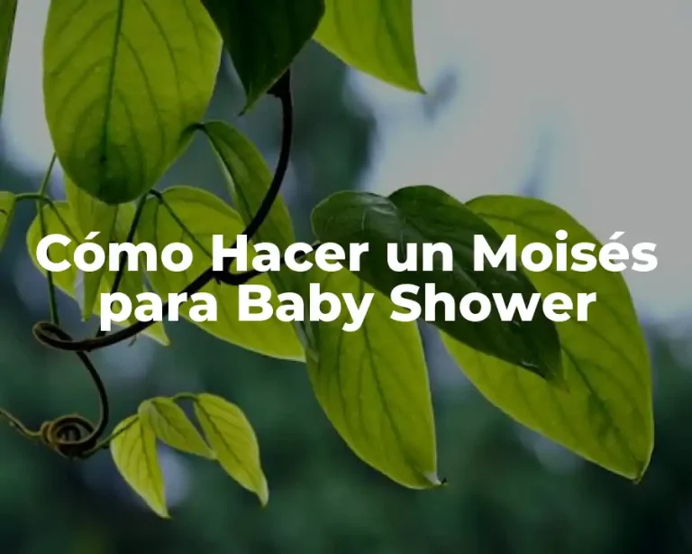 Cómo Hacer un Moisés para Baby Shower