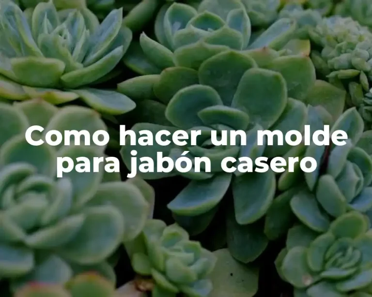 Como hacer un molde para jabón casero