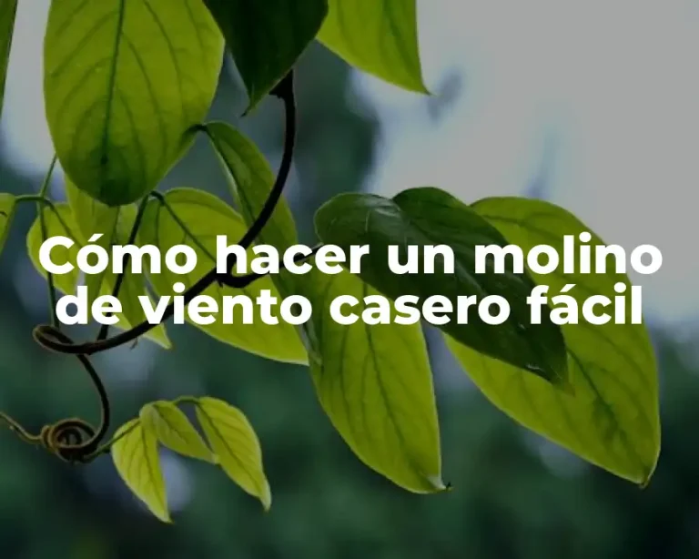 Cómo hacer un molino de viento casero fácil