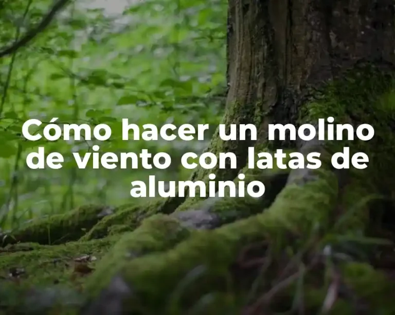 Cómo hacer un molino de viento con latas de aluminio
