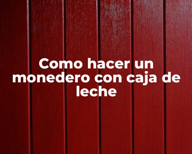 Como hacer un monedero con caja de leche